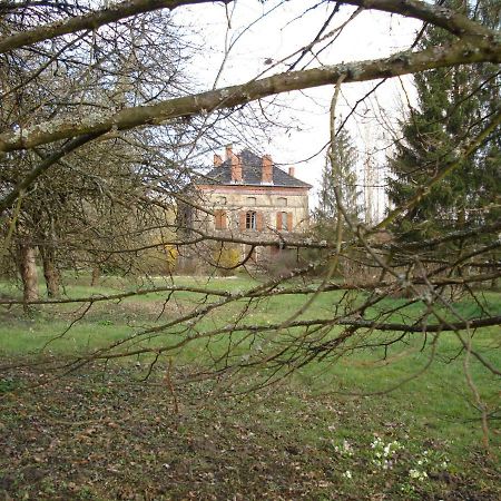 La Belle D'Antan Leilighet Saint-Bonnet-en-Bresse Eksteriør bilde